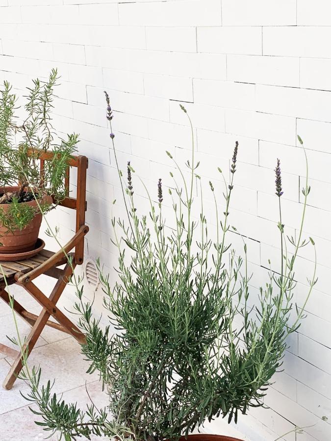 Tap - In Independent House With Private Garden Apartment