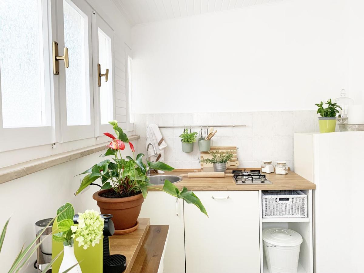 Apartment Tap - In Independent House With Private Garden