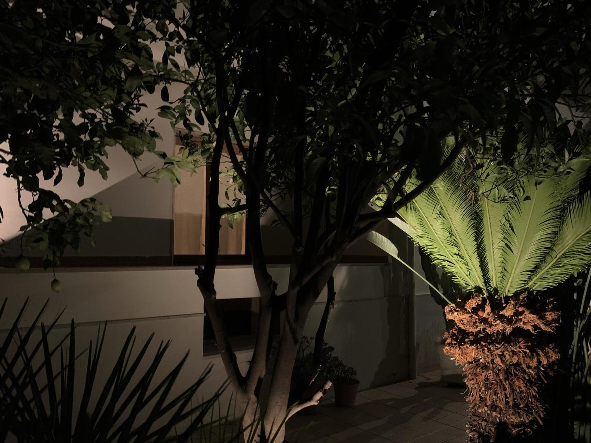 Tap - In Independent House With Private Garden Apartment *