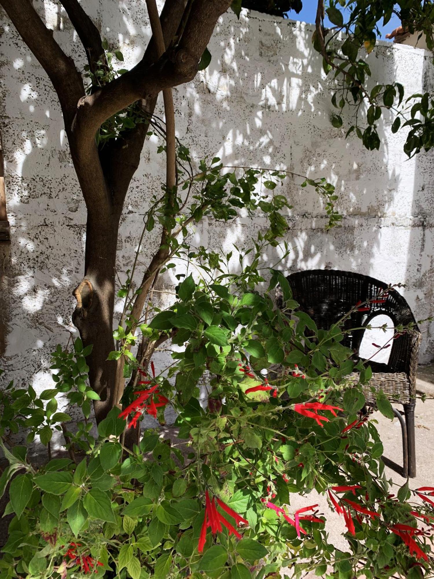 Apartment Tap - In Independent House With Private Garden