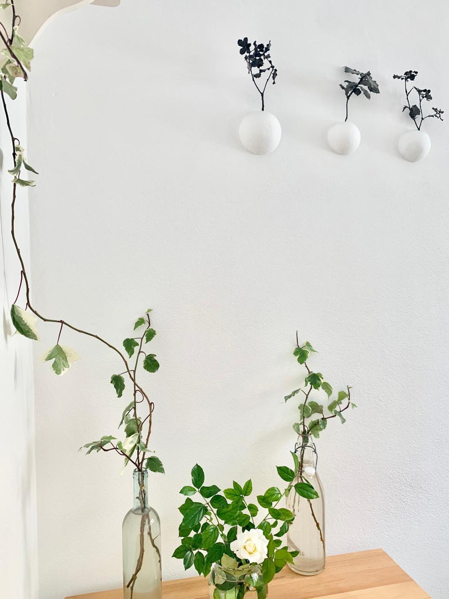 Tap - In Independent House With Private Garden Apartment