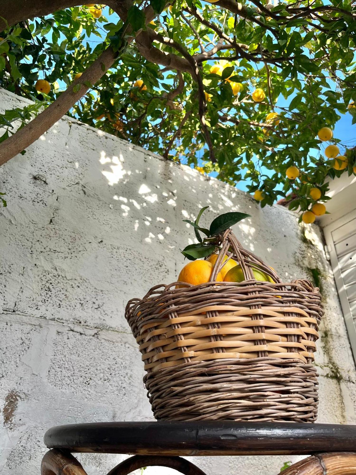 Apartment Tap - In Independent House With Private Garden Alghero